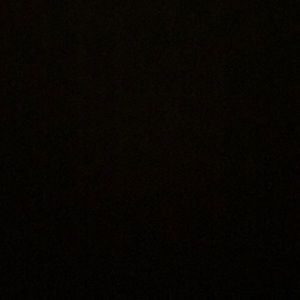 Meet your Posher, Ezra